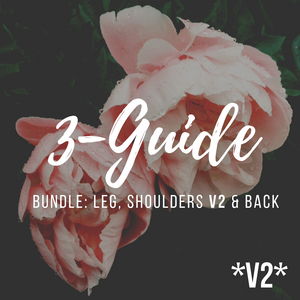 V2 3-Bundle Guide